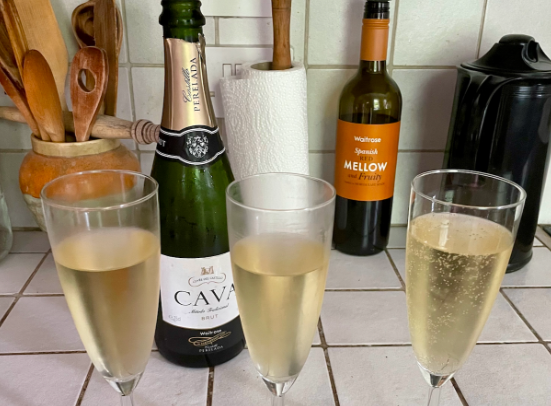 Catalan Cava Cycling Tours from Wanderlist Tours